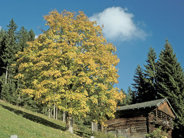 Neukumhof Westendorf Exterior foto