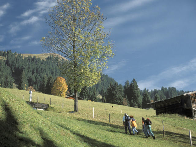 Neukumhof Westendorf Exterior foto